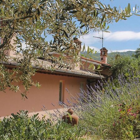 Tuscany Roses Arezzo Dış mekan fotoğraf